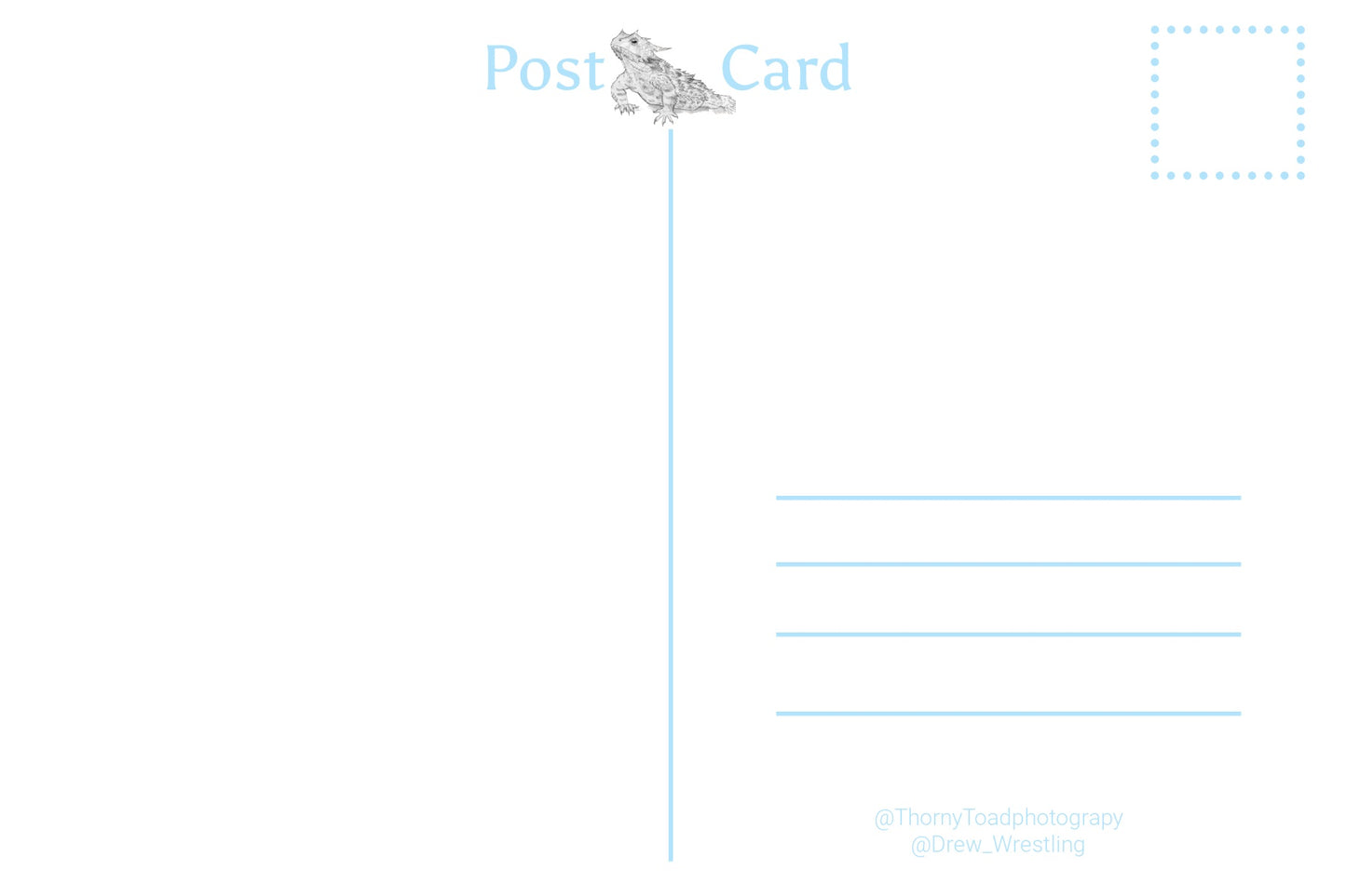 Western Side-blotched Lizard Post Card