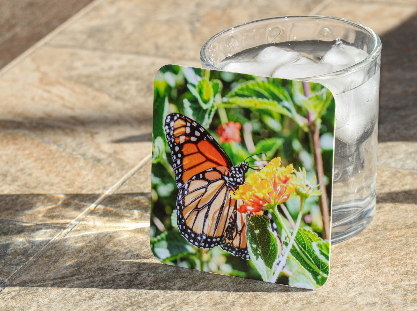 Wildlife Coasters