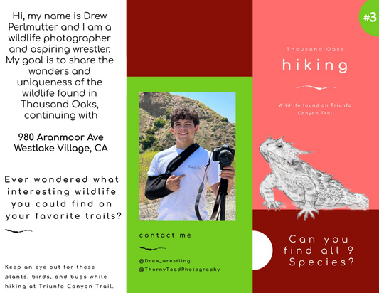 Triunfo Canyon Park Trail Guide