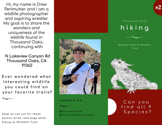 Windmill Trail Hiking Guide #2